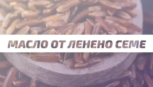 Maslo Ot Leneno Seme Banner Image 2 504x288