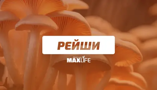 Gubi Reishi Bg Banner 504x288