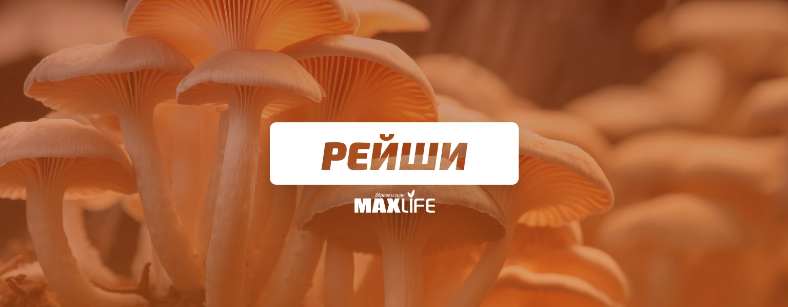 Gubi Reishi Bg Banner