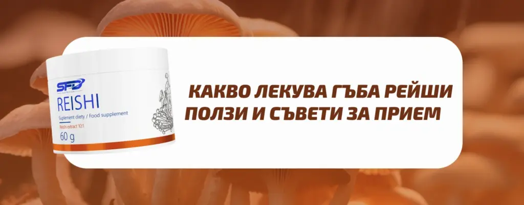 Gubi Reishi Product Banner 1024x400