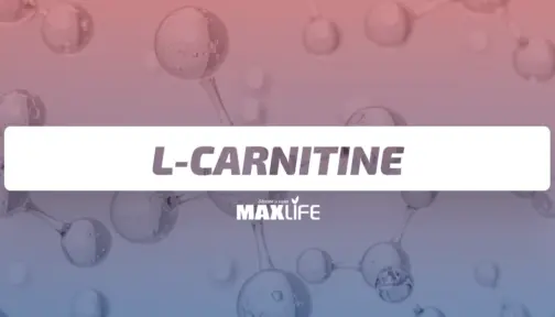 L Carneting Bg 504x288