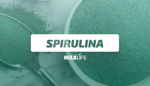 Spirula 1 504x288