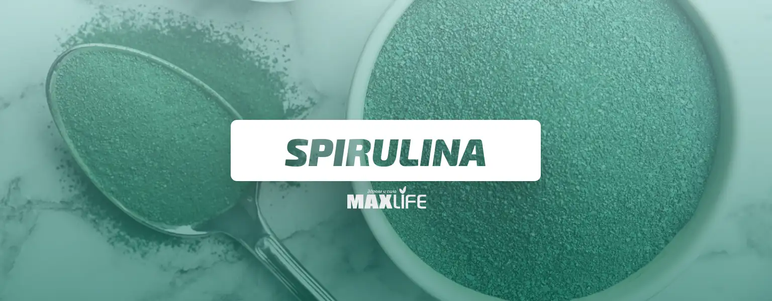 Spirula 1