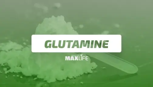 Glutamin Bg 504x288