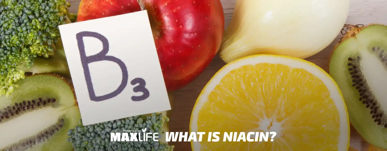 Niacin Products 2 1x Niatsin Products 2 1x